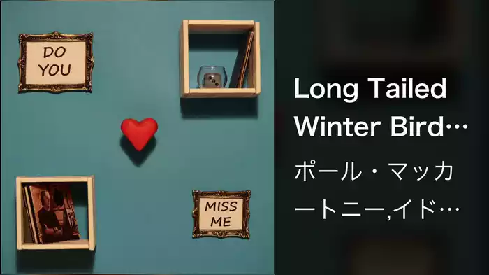 Long Tailed Winter Bird (Idris Elba Remix / Visualizer)